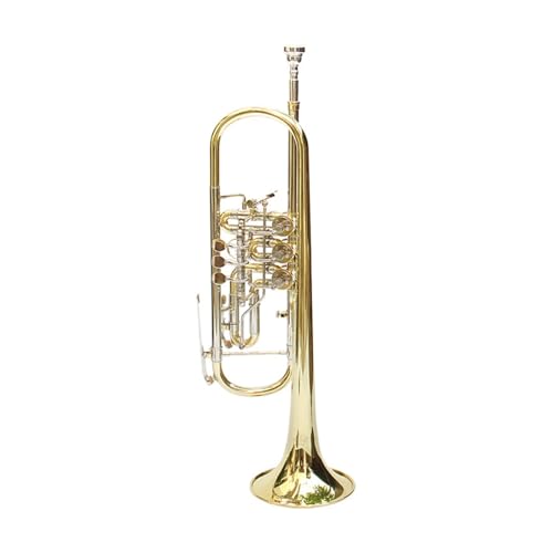 Anfänger Trompete Professionelles Trompeteninstrument für Erwachsene in B-Dur Anfänger Trompete Professionelles Trompeteninstrument für Erwachsene in B-Dur von FGRTYUX