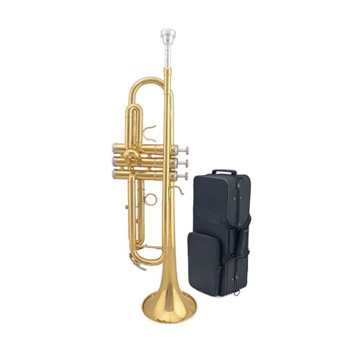 Anfänger Trompete Trompete B-Blechblasinstrument für Anfänger für Üben geeignet Anfänger Trompete Trompete B-Blechblasinstrument für Anfänger für Üben geeignet von FGRTYUX