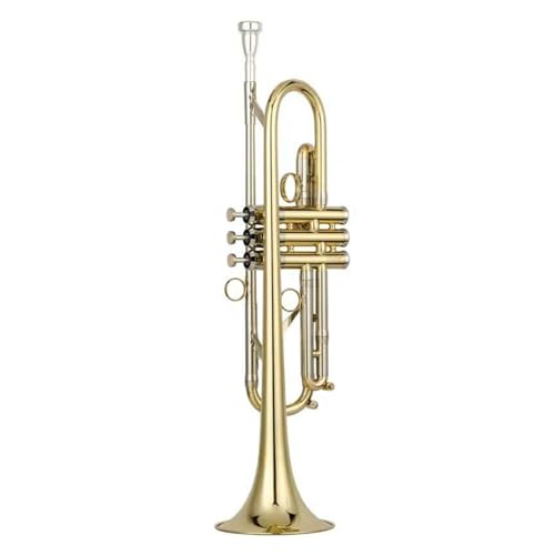Anfänger Trompete Trompete professionelles Musikinstrument geeignet für Anfänger von FGRTYUX