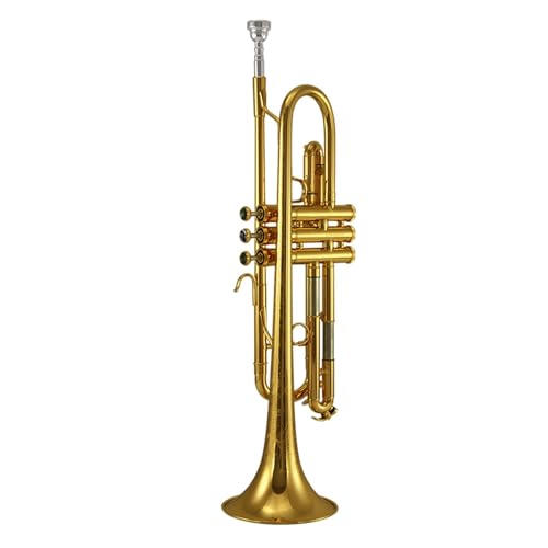 Anfänger Trompete Trompeteninstrument B-Dur professionelle Leistung von FGRTYUX