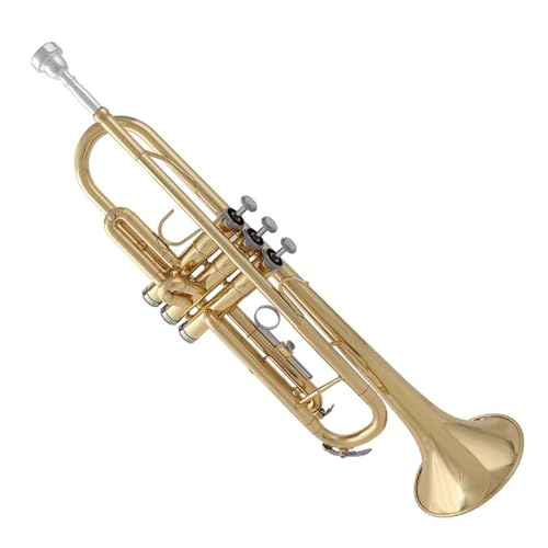 Anfänger Trompete Trompeteninstrument B für Anfänger für Üben geeignet von FGRTYUX