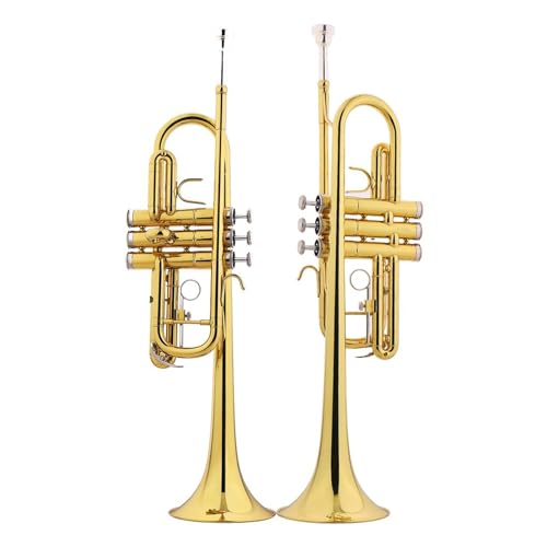 Anfänger Trompete Trompeteninstrument C-Tonart hohe Tonhöhe professionelles Spiel Anfänger von FGRTYUX