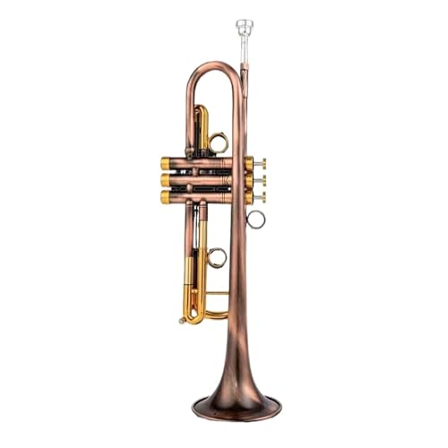 Anfänger Trompete Trompeteninstrument für Anfänger Professionelles Spiel von FGRTYUX