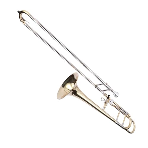 Anfängerposaune Professionelles Posaunen-Tenor-B-Blechblasinstrument von FGRTYUX