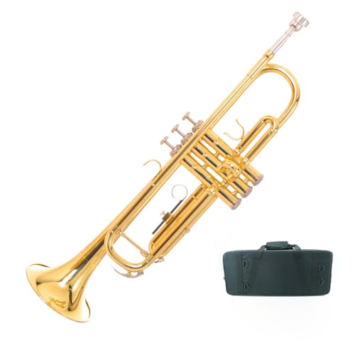 FGRTYUX Anfänger Trompete B-Trompete Instrument Anfänger professionelle Leistung FGRTYUX Anfänger Trompete B-Trompete Instrument Anfänger professionelle Leistung von FGRTYUX