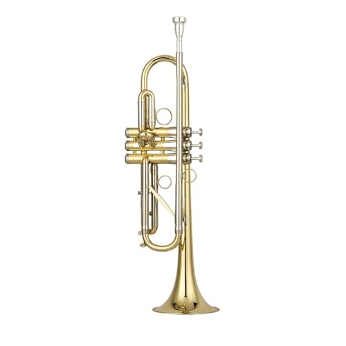 FGRTYUX Anfänger Trompete B-Trompete Profiinstrument für Erwachsene geeignet FGRTYUX Anfänger Trompete B-Trompete Profiinstrument für Erwachsene geeignet von FGRTYUX