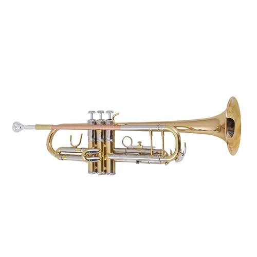 FGRTYUX Anfänger Trompete B-Trompete professionelles Spielinstrument von FGRTYUX