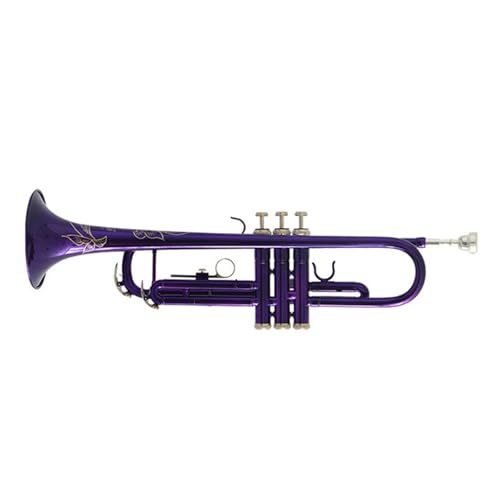 FGRTYUX Anfänger Trompete Professionelles Instrument für Anfänger geeignet B-Trompete FGRTYUX Anfänger Trompete Professionelles Instrument für Anfänger geeignet B-Trompete von FGRTYUX