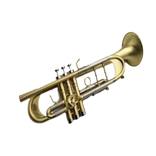 FGRTYUX Anfänger Trompete Professionelles Trompeteninstrument für Anfänger geeignet von FGRTYUX
