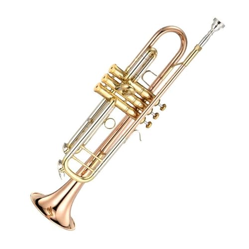 FGRTYUX Anfänger Trompete Trompete professionell Spielen b Musikinstrument von FGRTYUX
