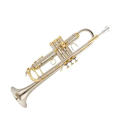 FGRTYUX Anfänger Trompete Weiß Kupfer Material B Flache trompete Professionelle Leistung FGRTYUX Anfänger Trompete Weiß Kupfer Material B Flache trompete Professionelle Leistung von FGRTYUX