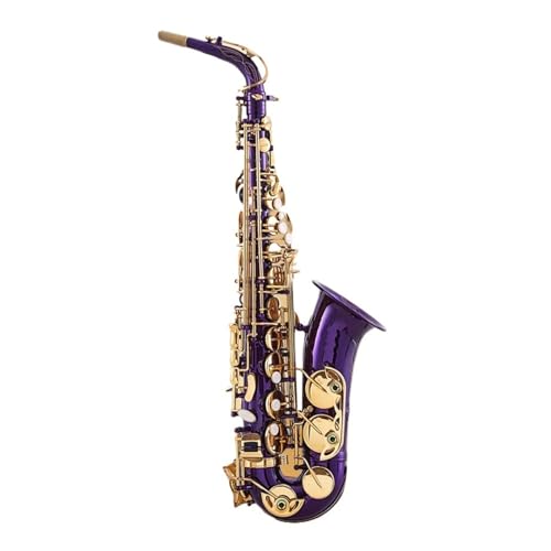 Saxophon für Erwachsene Es-Altsaxophon Anfänger professionelle Leistung von FGRTYUX