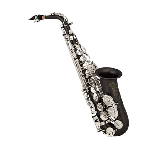 Saxophon für Erwachsene Es-Altsaxophon Profi-Instrument für Anfänger von FGRTYUX