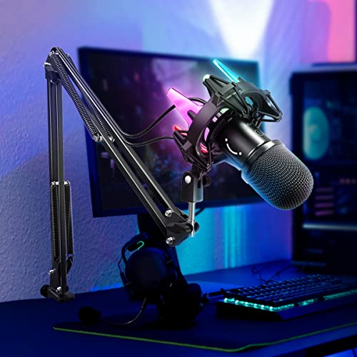 FIFINE Gaming Mikrofon PC mit Arm, 8 RGB Steuerungsmodi USB Microphone für MAC PS4 PS5, Dynamisches Microfon mit Mikrofonarm, Stummschalttaste, Shock Mount von FIFINE