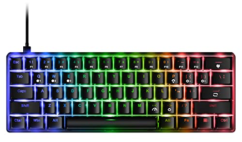 FIODIO 61 Tasten RGB Kabelgebundene mechanische Gaming-Tastatur mit akustischem klick-Sound, Blaue Schalter, kompakte Mini-Computer-Tastatur für Windows Gaming PC, F-DB21 von FIODIO