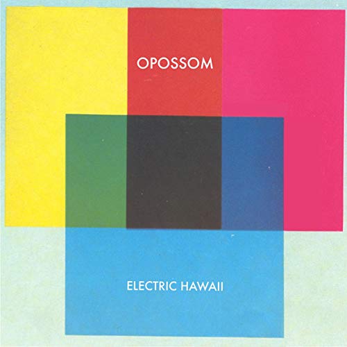 Electric Hawaii [Vinyl LP] von FIRE RECORDS