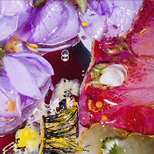 Forward Constant Motion [Vinyl LP] von FIRE