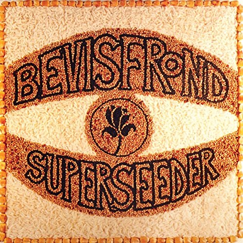 Superseeder [Vinyl LP] von FIRE RECORDS