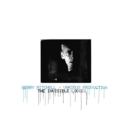 The Invisible Lodger [Vinyl LP] von FIRE RECORDS