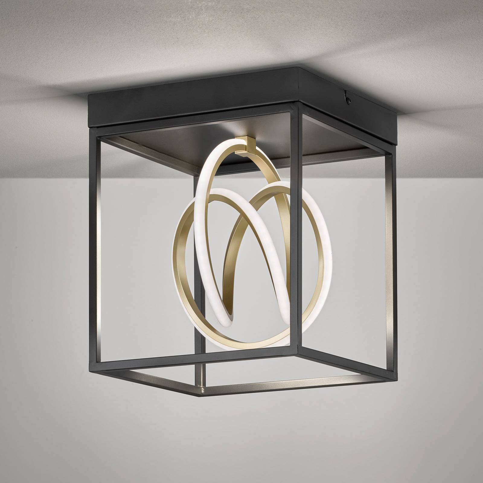 LED-Deckenleuchte Gisi, CCT, einflammig LED-Deckenleuchte Gisi, CCT, einflammig von FISCHER & HONSEL