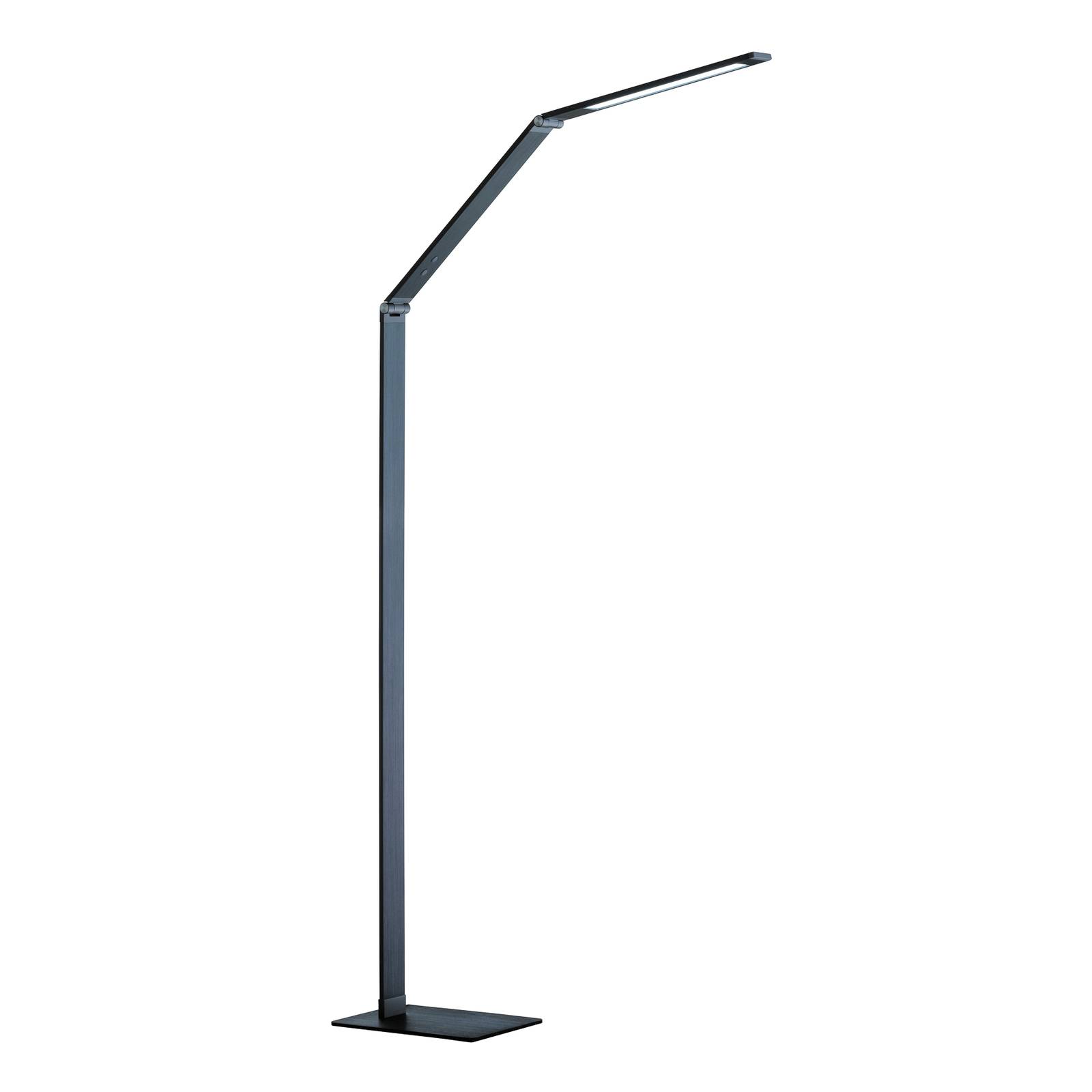 LED-Stehleuchte Geri Sensordimmer CCT anthrazit LED-Stehleuchte Geri Sensordimmer CCT anthrazit von FISCHER & HONSEL