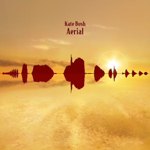 Aerial (Fish People Edition) [Vinyl LP] von FISH PEOPLE