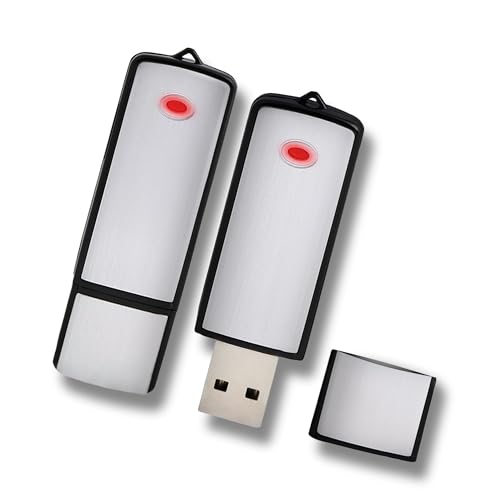 4 GB USB-Stick mit eingebautem Mikrofon - 13H-Aufnahme von Fishtec