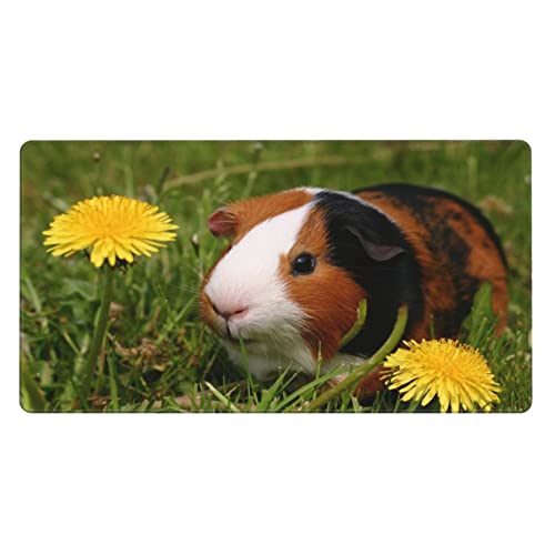 Guinea Pig Large Mouse Pad Gaming Mousepad XXL 15.8×29.5 in Non-Slip Rubber Base Desk Mats on Top of Desks Mouse Pads for Wireless Mouse Computer Desks Accessories von FJAUOQ