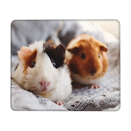 Guinea Pig Multi-Code Small Mouse Pad Gaming Mouse Pad & Desk Mat for Desktop,Cute Mouse Pads for Wireless Mouse,Non-Slip Mousepad Rubber Base Mouse Mat(7 X 8.6 in / 7.9 X 9.5 in) von FJAUOQ