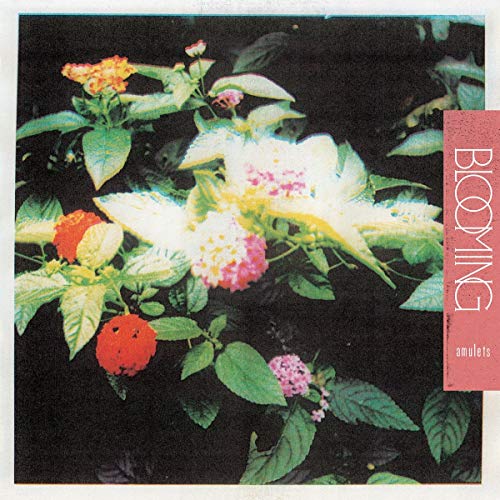 Blooming [Vinyl LP] von FLENSER