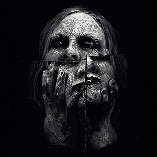Burden Of Sight [VINYL] [Vinyl LP] von FLENSER