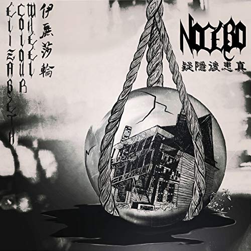 Nocebo [Vinyl LP] von FLENSER