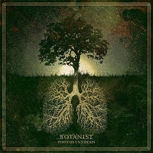 Photosynthesis [Vinyl LP] von FLENSER