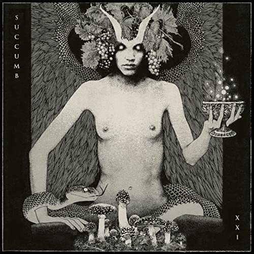 Xxi (Ltd) [Vinyl LP] von FLENSER