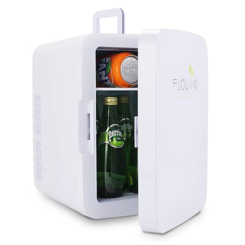 Mini Kühlschrank 10L / 11 Dose, Tischkühlschrank klein Kühlbox mit Kühl- und Warmhaltefunktion, AC 220V Haus / DC 12V Kfz., Leise für Auto Büro Schlafzimmer Garten Picknick Reisen Zeltplatz von FLOVIA COOK BY NATURE