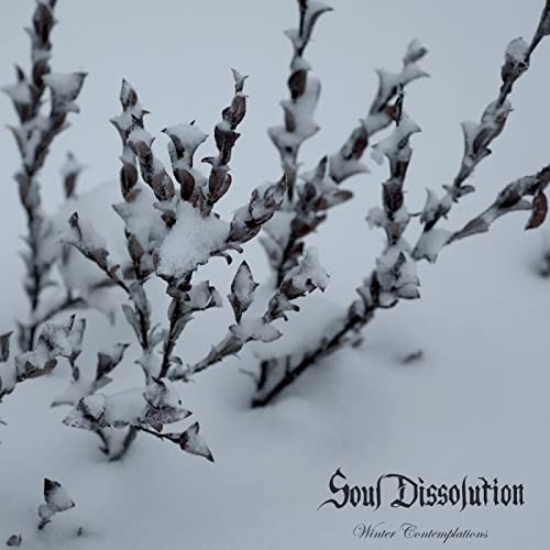 Winter Contemplations [Vinyl LP] von FLOWING DOWNWARD