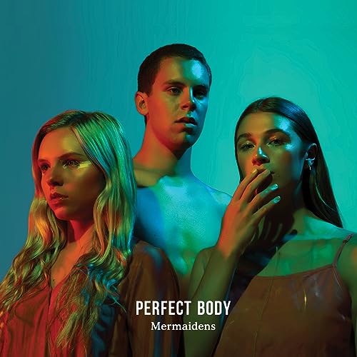 Perfect Body [Vinyl LP] von FLYING NUN