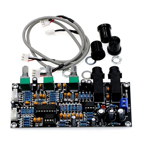 M273 Karaoke Verstärker PT2399 CHIP Und NE5532 OP Hörverstärker Board Verbessert Die Stimm Und Musikmischung von FOLODA