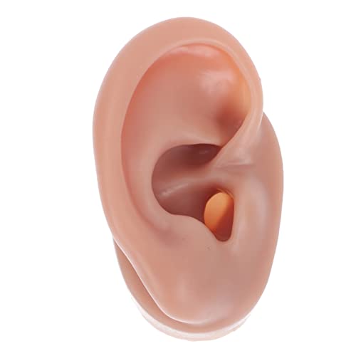 FOMIYES Silikon-Ohr-Modell, wiederverwendbar, simuliert, menschliches Ohr-Piercing-Modell, Hörgerät-Display Requisiten für Akupunktur, Kopfhörer, Ohrringe, Lehrwerkzeug (rechtes Ohr) von FOMIYES