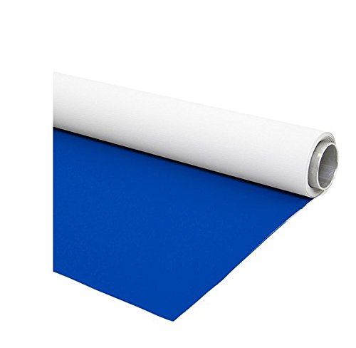 Vinyl-Hintergrund,Wendbar, Vinyl, Blau/Weiß 250CMX400CM von fondart