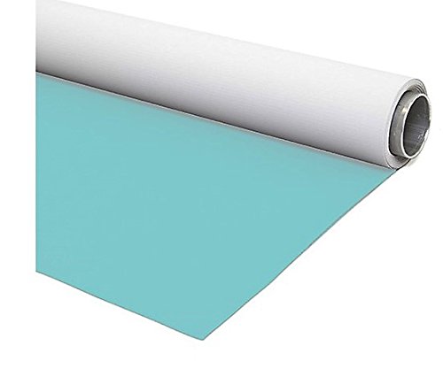 Vinyl-Hintergrund,Wendbar, Vinyl, Hellblau/Weiß 275CMX600CM von fondart