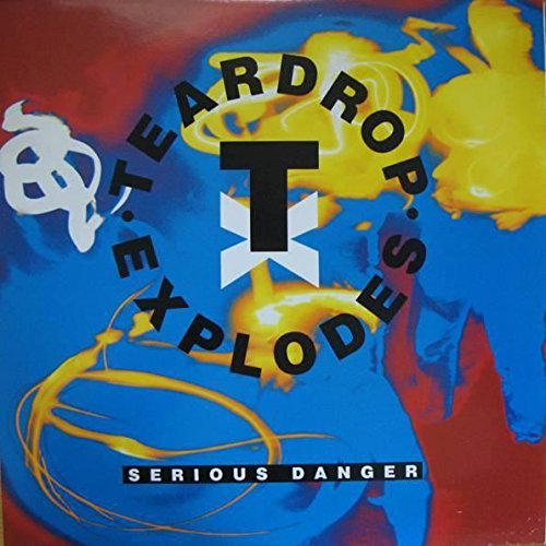 SERIOUS DANGER 12 inch (12" Vinyl) UK FONTANA 1990 von FONTANA