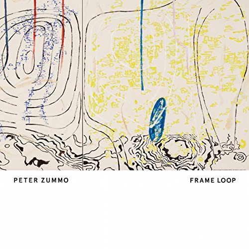Frame Loop [Vinyl LP] von FOOM