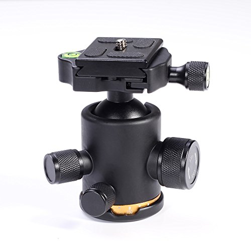 Fotga Schwenker Stativ-Kugelkopf (mit 3/8" Schraube Halterung) + Schnellwechselplatte (mit 1/4" Gewinde) für DSLR-Kamera Foto Video Studio (Load Kapazität: 12KG) von FOTGA