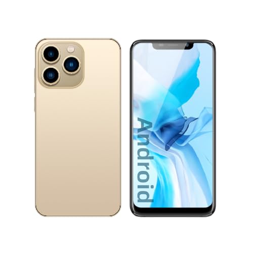FOXIONO entsperrt Telefon, 6,11-Zoll-Bildschirm, Dual Kameras, 1GRAM, 16GROM, unterstützt nur 3GWCDMA: 850/1700/2100MHz Frequenzbänder, Dual SIM Karten, Android Smartphone (3, Gold) von FOXIONO