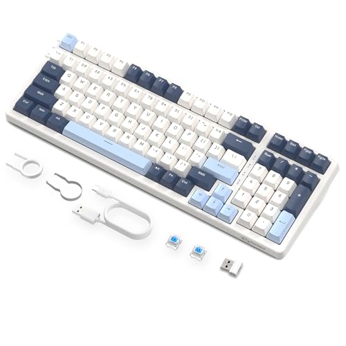 FREEWOLF K8 Drahtlose Hot-Swap-Mechanische Gaming-Tastatur, kabelgebundene RGB-Tastatur mit Backlit, Blauer Schalter, Bluetooth 5,0/2,4 GHz/USB-C Tri-Modus mit 4000-mAH-Akku für Mac/Win – Blau/Weiß von FREEWOLF