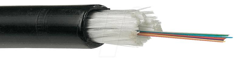 LWL U-DQ 12-100 - LWL-Außenkabel U-DQ, 12G, 100 m von FREI
