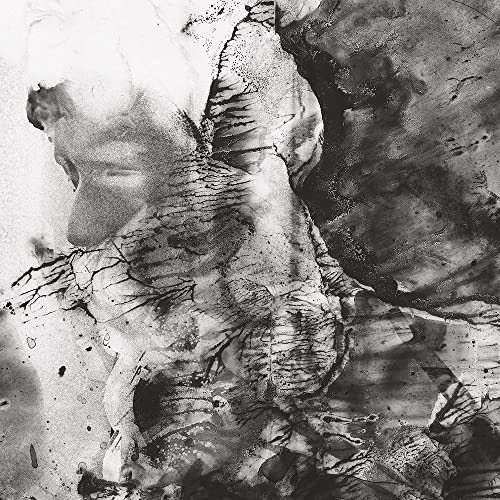 Combat! [Vinyl Single] von FRIENDS OF FRIENDS