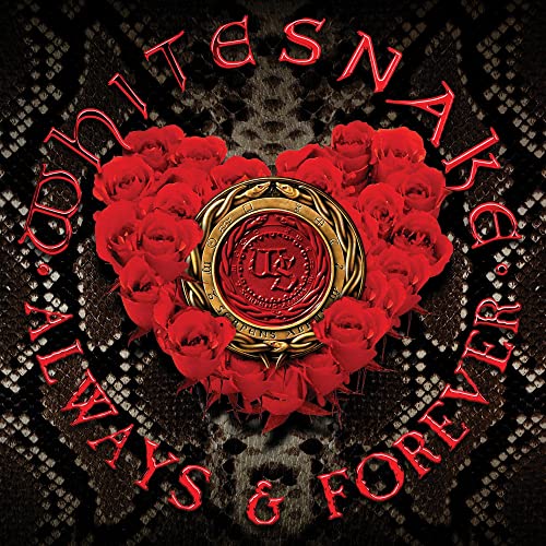 Always & Forever [Vinyl Maxi-Single] von FRONTIERS RECORDS