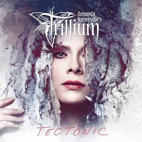 Tectonic [Vinyl LP] von FRONTIERS RECORDS